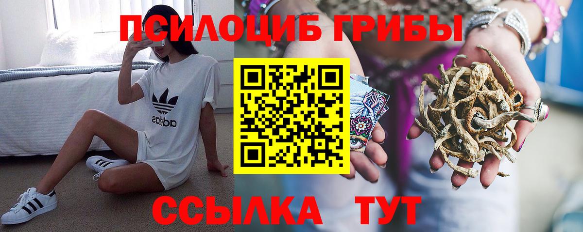 Галлюциногенные грибы GOLDEN TEACHER  что такое наркотик  Нефтекумск  Вход с VPN 